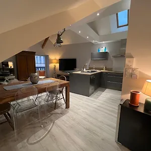 https://appartement-grand-standing-plein-centre-ville.midi-pyreneeshotels.com
